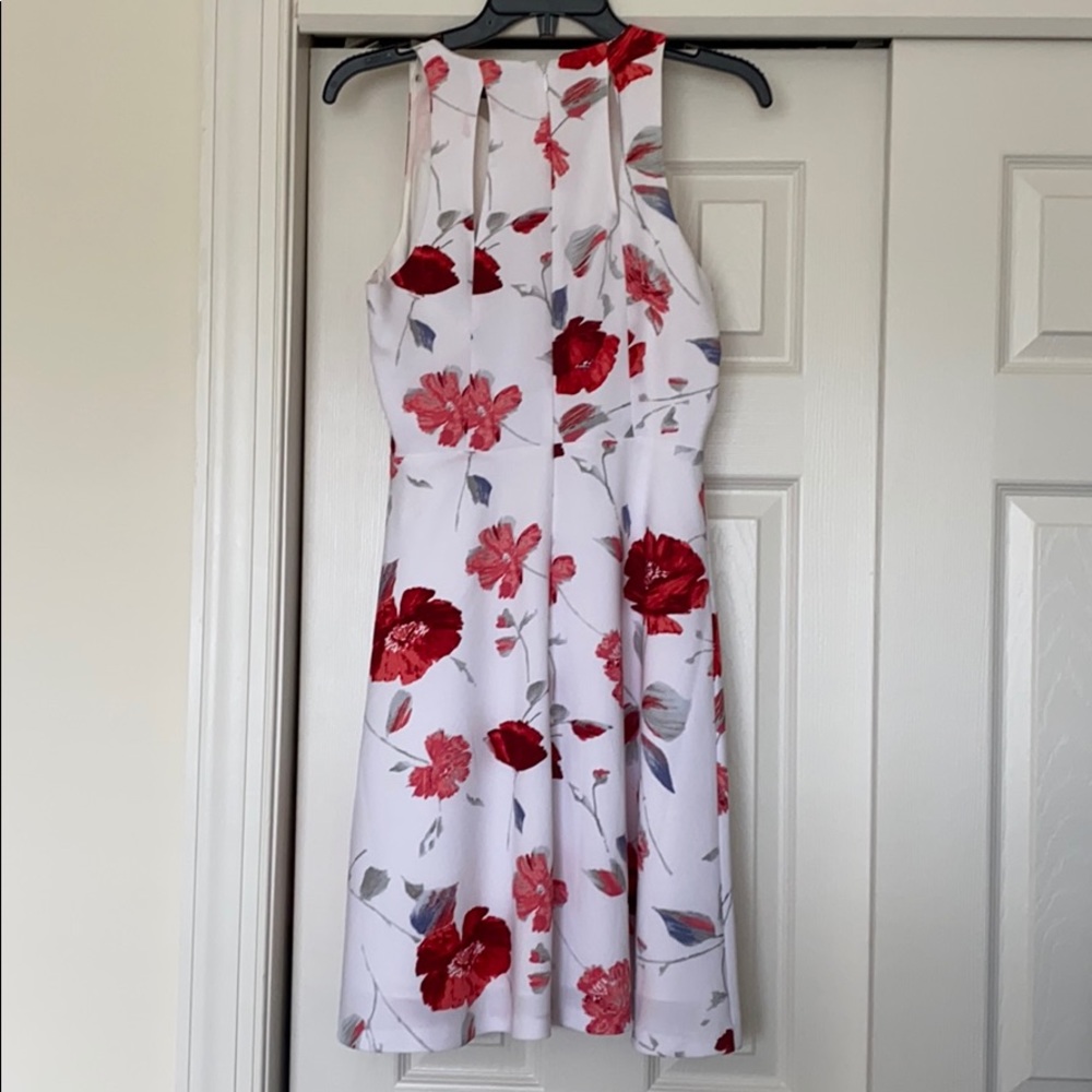 Sundress 🌻 - Picture 3 of 5